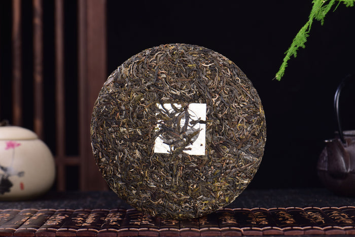 2023 Yunnan Sourcing "Autumn Meng Zhu Da Shan" Old Arbor Raw Pu-erh Tea Cake | Yunnan Sourcing Tea Shop