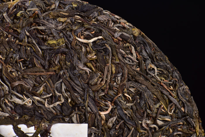 2023 Yunnan Sourcing "Autumn Meng Zhu Da Shan" Old Arbor Raw Pu-erh Tea Cake | Yunnan Sourcing Tea Shop