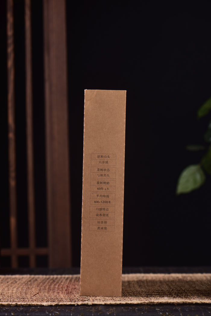 2024 Gao Jia Shan "Year of the Dragon" Fu Brick Tea | Yunnan Sourcing Tea Shop