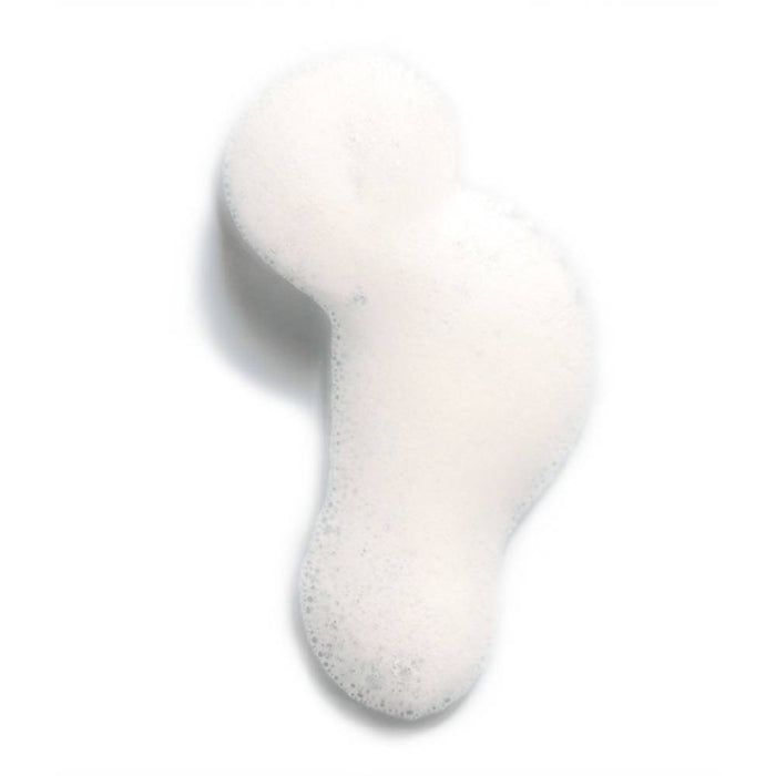 Aloe Foam Gentle Cleanser