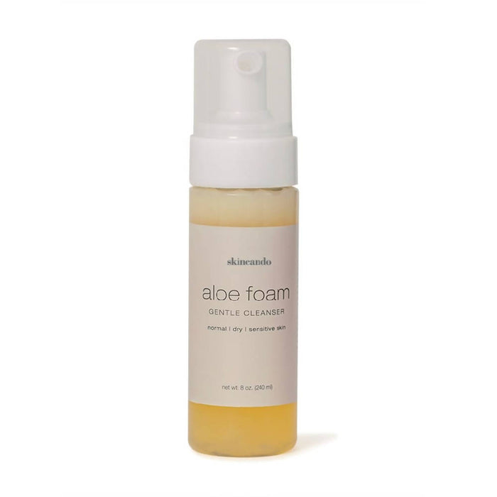 Aloe Foam Gentle Cleanser