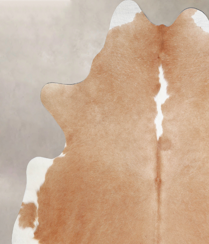 Brown and White Regular Cowhide Rug #A34168