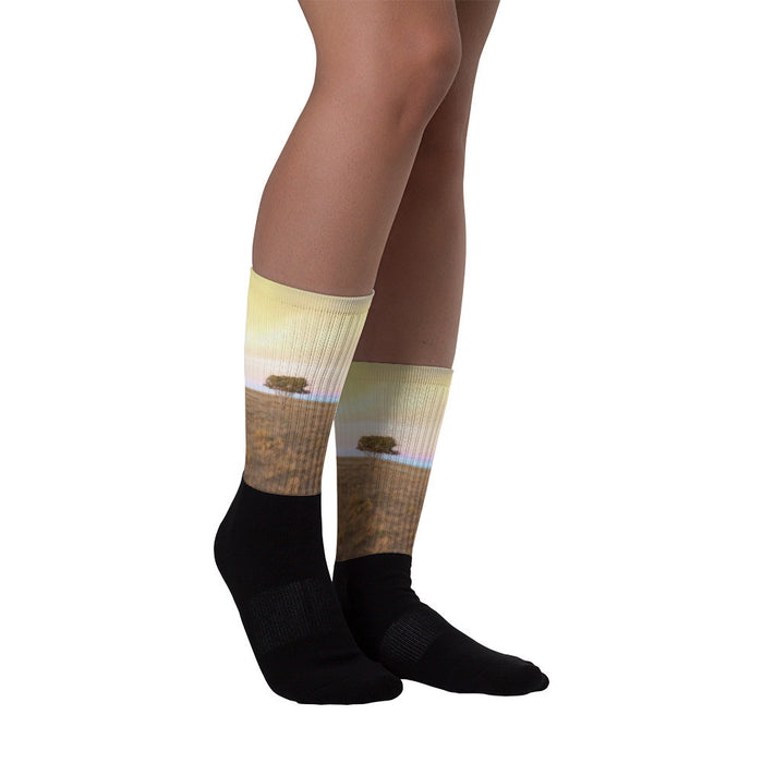 Cedar Tree at Sunset - Black foot socks