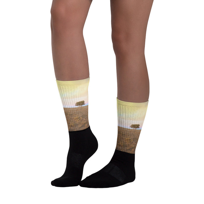 Cedar Tree at Sunset - Black foot socks