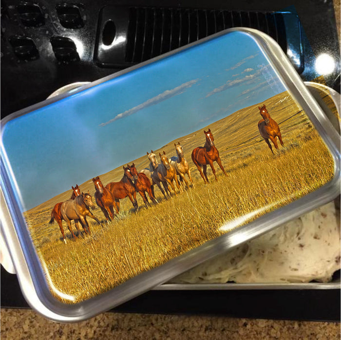Curiosity Crew Cake Pan with Lid