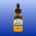 Herb Pharm Garlic 1oz