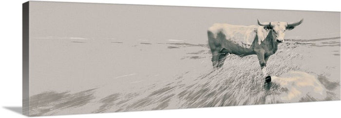 In the Still of the Grey Canvas Print