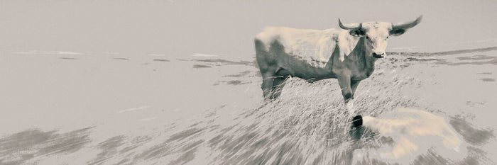 In the Still of the Grey Canvas Print