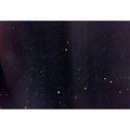 Kusama "Fireflies" Lenticular Postcard