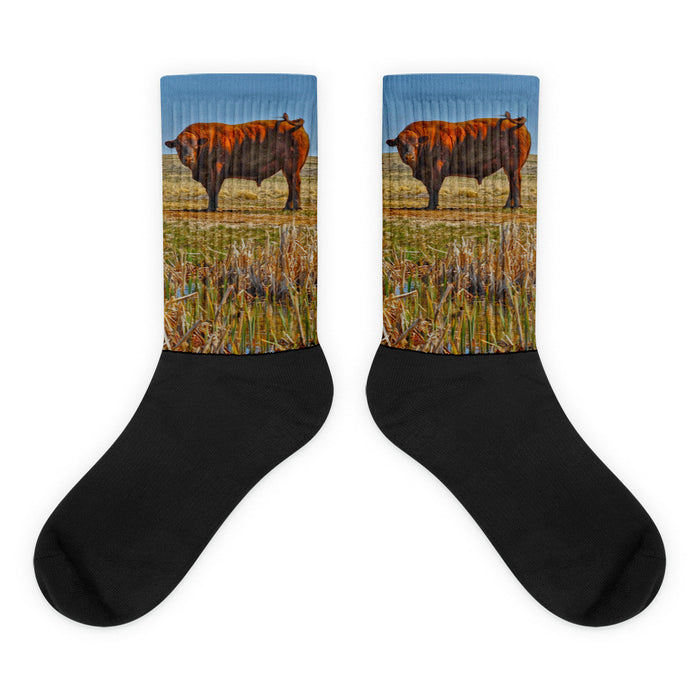Pigtail Bull - Black foot socks