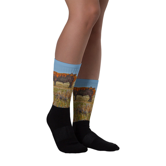 Pigtail Bull - Black foot socks