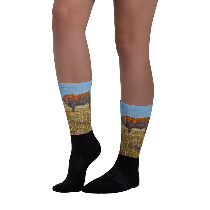 Pigtail Bull - Black foot socks