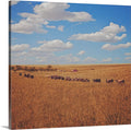 Sarah's View Canvas Print
