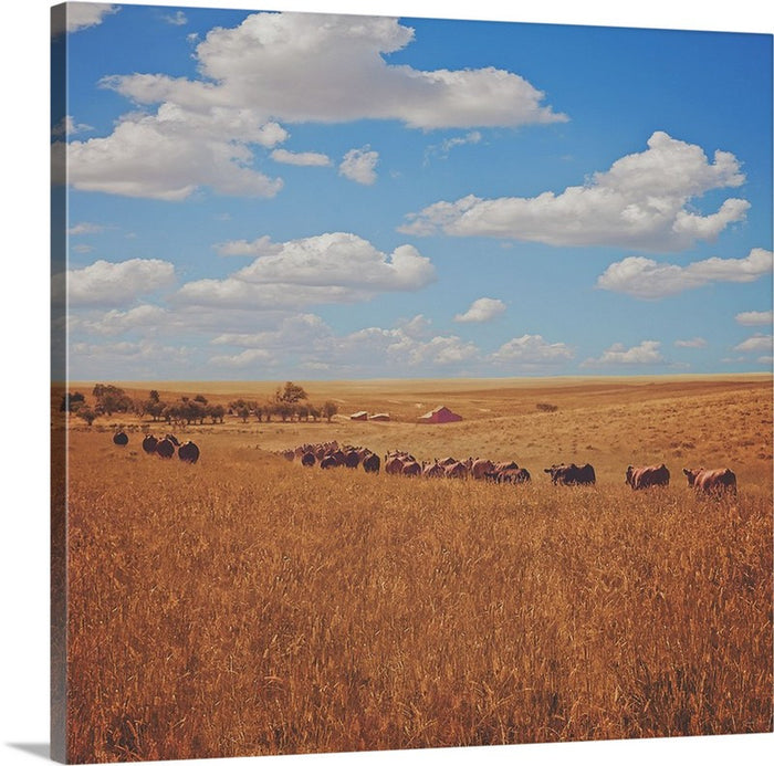 Sarah's View Canvas Print