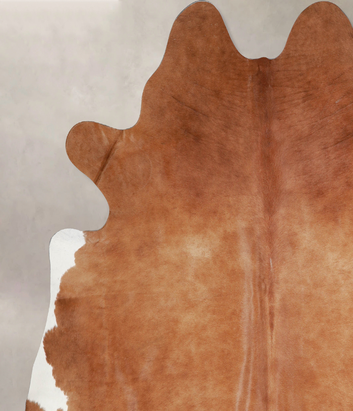 Solid Brown Cowhide Rug #A34163